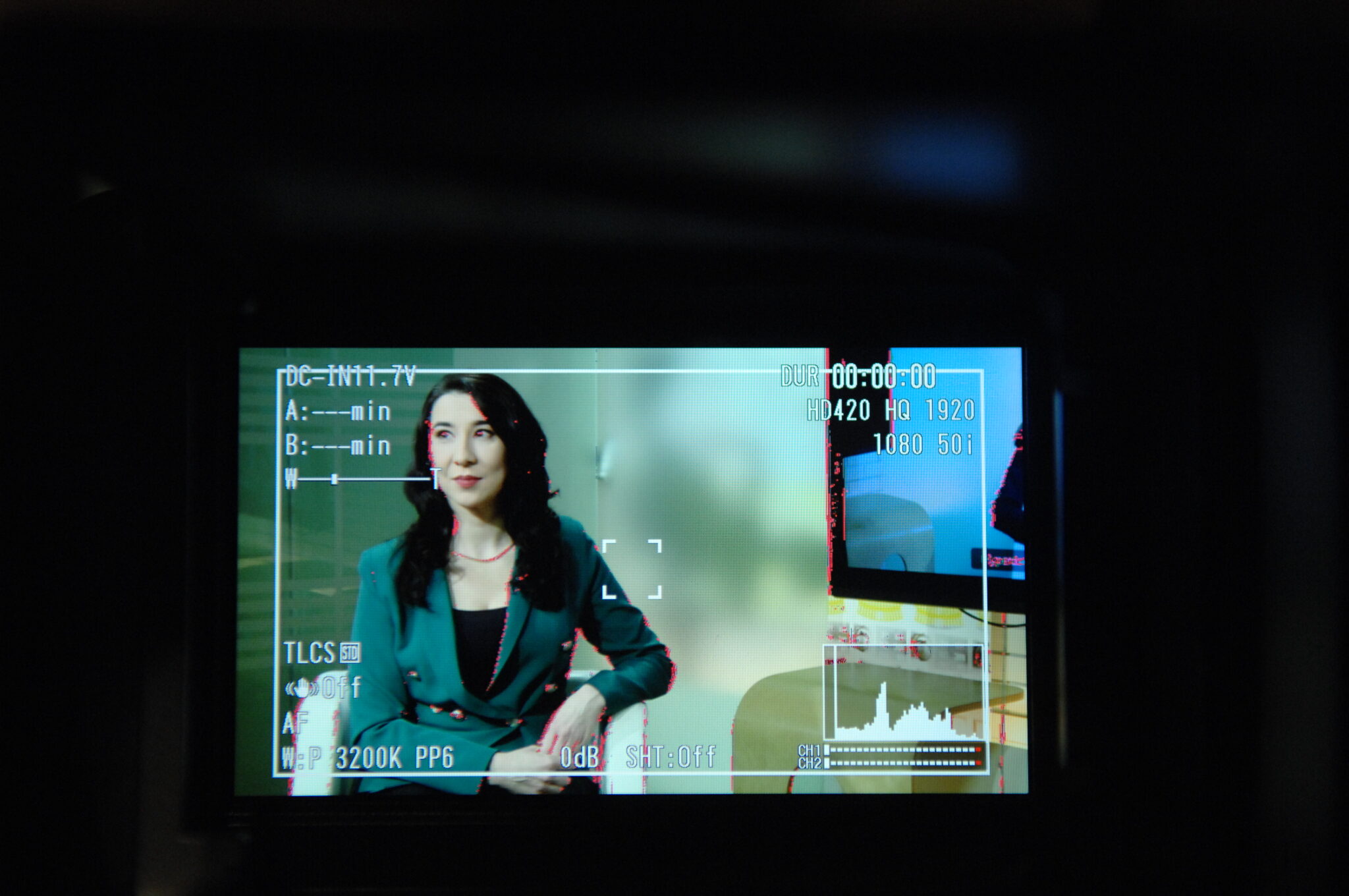 Portfolio 256 prezenterka telewizyjna